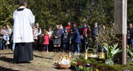 zdjęcie nr 7