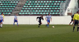 zdjęcie nr 12
