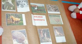zdjęcie nr 48