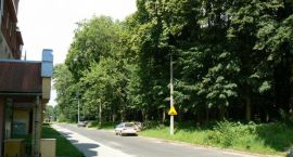 zdjęcie nr 8