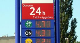 zdjęcie nr 7