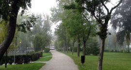 Fotka nr 5 z 7