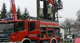 Fotka nr 0 z 11