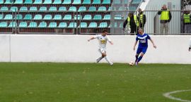 zdjęcie nr 12