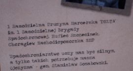 zdjęcie nr 7