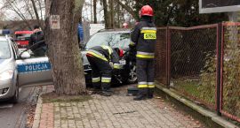 Fotka nr 2 z 6