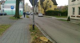 Fotka nr 0 z 7