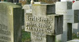 Fotka nr 5 z 8