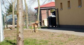 zdjęcie nr 8