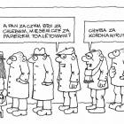 Fotka nr 0 z 12