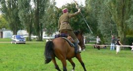 zdjęcie nr 10