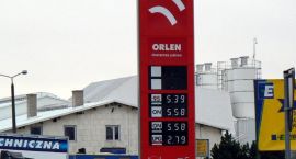 zdjęcie nr 8