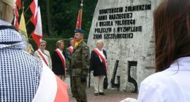 zdjęcie nr 19