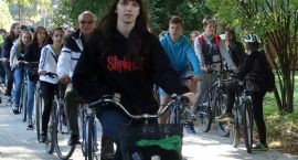 zdjęcie nr 11