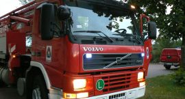 Fotka nr 1 z 11