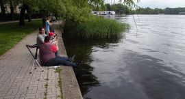 zdjęcie nr 16
