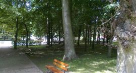 zdjęcie nr 8