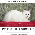 Fotka nr 4 z 7