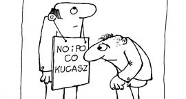 zdjęcie nr 8