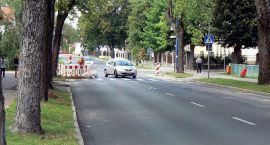 zdjęcie nr 11