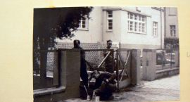 zdjęcie nr 11
