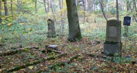 zdjęcie nr 8