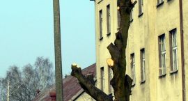 Fotka nr 1 z 8