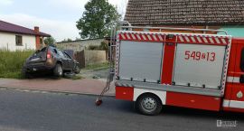 Fotka nr 2 z 3