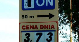Fotka nr 4 z 8