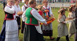 zdjęcie nr 8