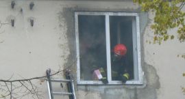 zdjęcie nr 9