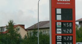 Fotka nr 4 z 11