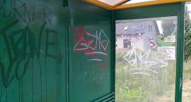 Fotka nr 1 z 4