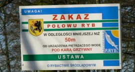 Fotka nr 1 z 6