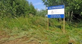 Fotka nr 5 z 8