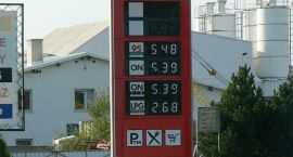 zdjęcie nr 8