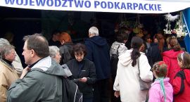 zdjęcie nr 10