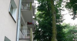 zdjęcie nr 10