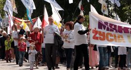 zdjęcie nr 22