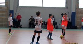 Fotka nr 3 z 17