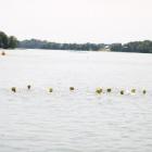 zdjęcie nr 24