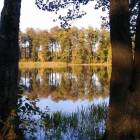 zdjęcie nr 32