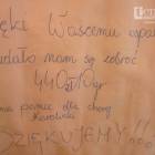 Fotka nr 5 z 6