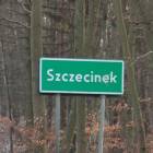 zdjęcie nr 118