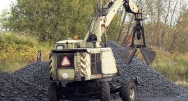 Fotka nr 5 z 11