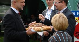 zdjęcie nr 12
