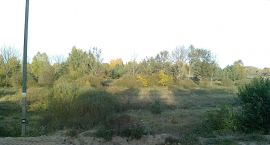 Fotka nr 5 z 8