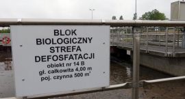Fotka nr 2 z 26