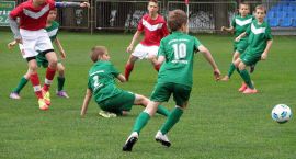 Fotka nr 2 z 19