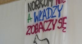 zdjęcie nr 23